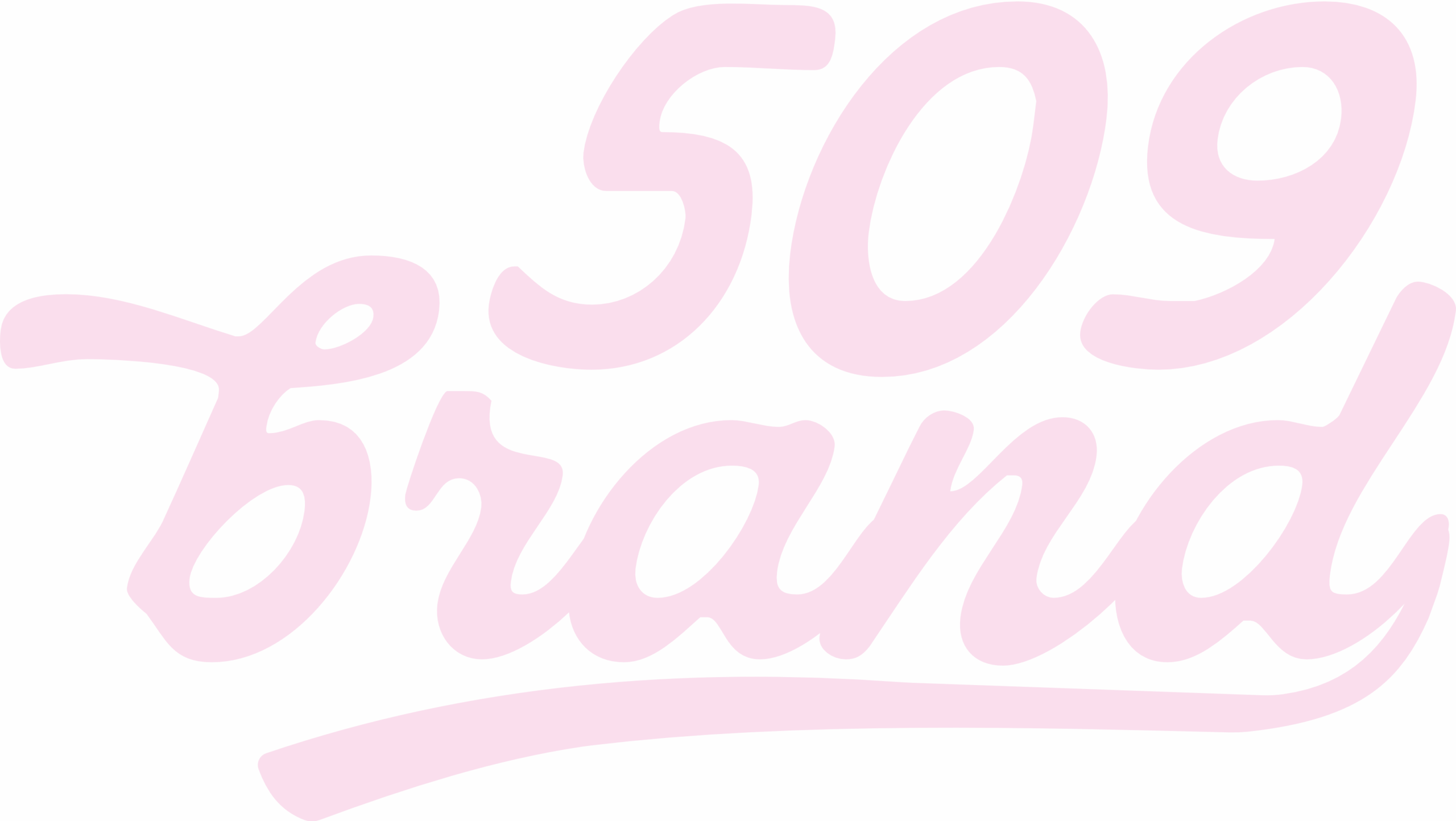 509 Brand Logo